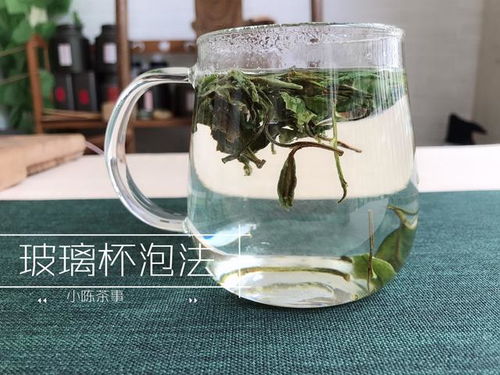 泡茶时,是先投茶,还是先加水呢 绿茶的投茶方式适合白毫银针吗