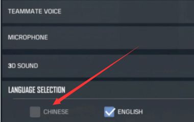 使命召唤手游怎么设置中文