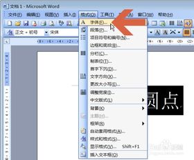 word2003怎么在文字下方添加小圆点 