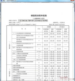 纳税申报表打印