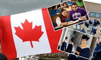 加拿大留学语言(加拿大留学各阶段语言要求)