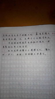 小学作文帮忙修改一下！！