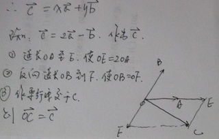 平面向量的加法运算教案