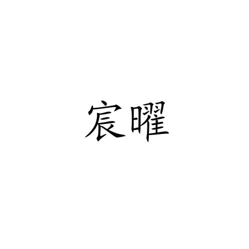 宸曜商标注册查询 商标进度查询 商标注册成功率查询 路标网 