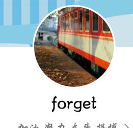 能帮帮忙吗 图上的是一个女生的网名 forget 而头像是火车的,是什么意思 