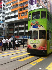 香港叮叮车可以刷乘车码吗(香港叮叮车路线)