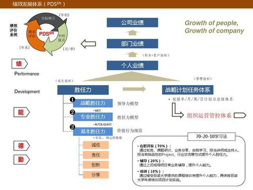 战略型人才管理体系