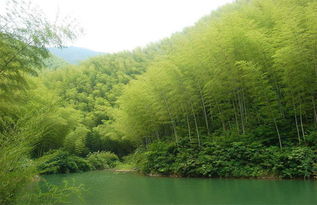 新余芦茅沟旅游景点(沟南免费停车场)