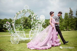 魔法学院结婚照怎么弄好看 有最好看的婚纱图片吗