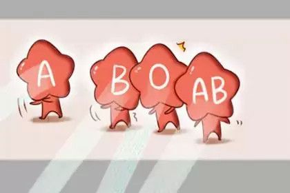 A型 B型 AB型 O型血,哪种血型的人身体素质好 医生说出答案