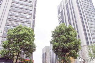 武汉光谷总部国际二期时代,光谷总部国际二期时代是哪个开发商的 房市头条 