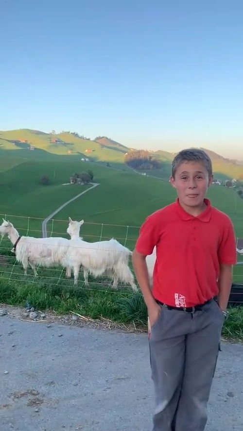 瑞士农民的孩子 