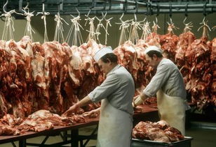 全球最大猪企杀入中国,养猪有什么样的绝招 农民大开眼界了