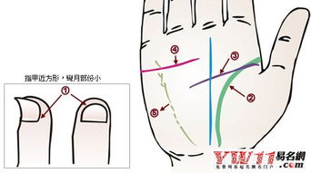 手相看病图解 