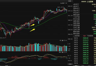 散户能参与9：15-9：25的集合竞价吗?