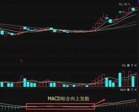 MACD股票论坛是做什么股民用户怎么用？