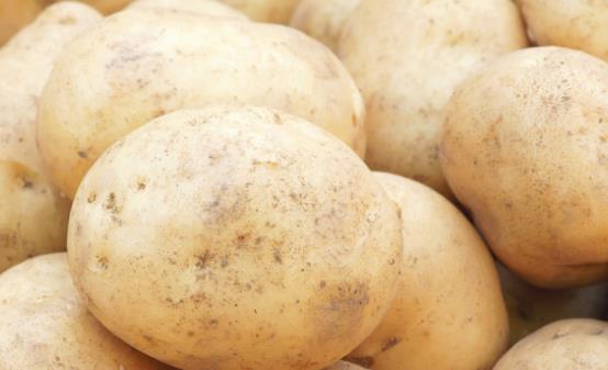 土豆的保存最佳方法,土豆保存方法