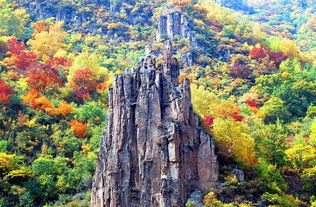 河北张家口黑龙山国家森林公园