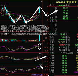 莱美药业的股价怎么下跌那么厉害