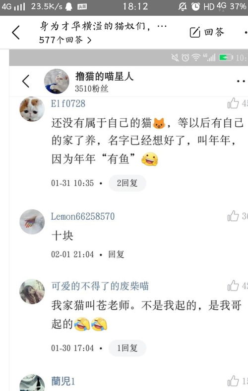 才华横溢的你们曾给猫咪起了些什么名 看到他们的我拍案叫绝