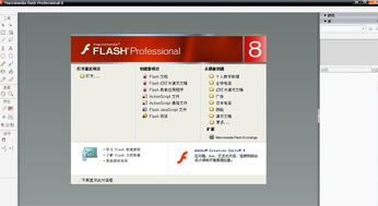 flash8中文免费