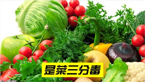 菜冷知识(菜的常识)