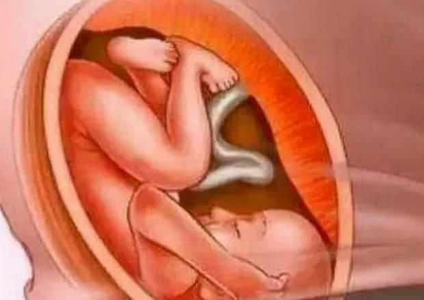 怀孕分娩育儿，胎儿分娩前在忙什么