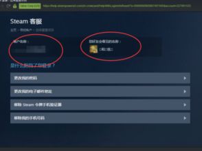 如何查询steam的账号名 