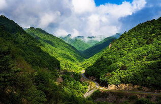 开平市风水 开平十大名坟