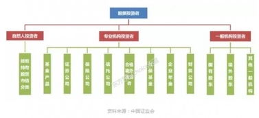 机构户怎样开立证券账户