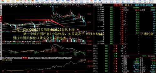 股票打板模式是否客观上有盈利的可能