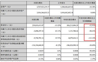 红墙股份：上半年非扣除净利润增长98.48%