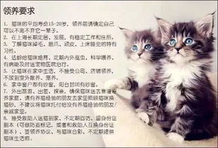 在中国, 宠物领养 为什么会陷入两难