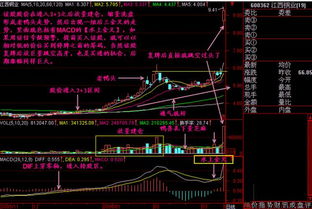 什么是股票操盘手？怎么成为操盘手？有那些相关的可以学习的书？