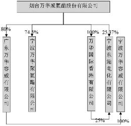 聚氨酯股票有哪些