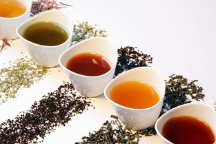 中国有哪些名茶 茶叶基础知识100讲 