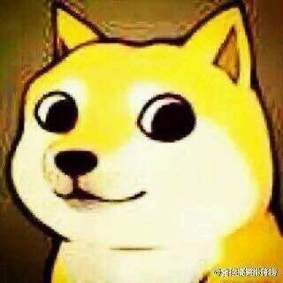 为什么没人看好AIDOGE