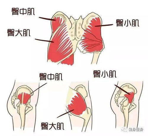 大腿和臀部连接处疼痛是什么原因(大腿和臀部之间疼痛)