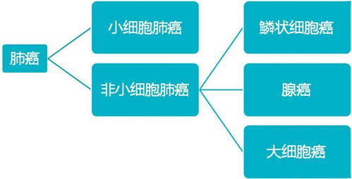 STM 使用血浆中ctDNA直接检测早期癌症 唧唧堂论文解析 