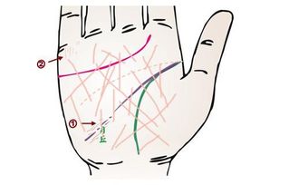 手掌乱纹多的人命运会怎样