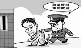 祁门 男子缓刑期内无证驾驶,被依法撤销缓刑