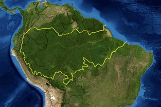 热带雨林在哪里,亚马逊雨林在地图上位置？