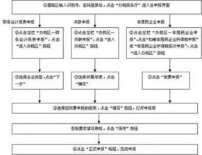 报税的具体操作流程