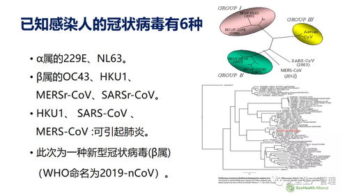 新型冠状病毒感染的肺炎诊疗方案 试行