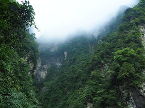 山古文，探寻古老文化的瑰宝，山 古文