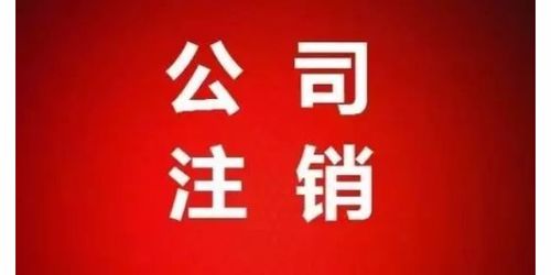 石桥街道公司注销查询