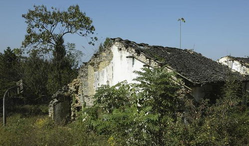 俗话说 宁住碰头屋,不住背水房 ,啥意思 有道理吗