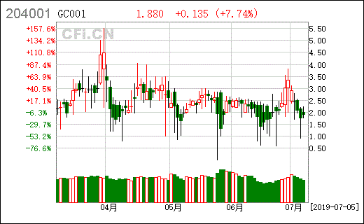 【204001】 和【204007】这俩支股票一般散户能买吗?谁能告诉我这支股的详细情况?谢了