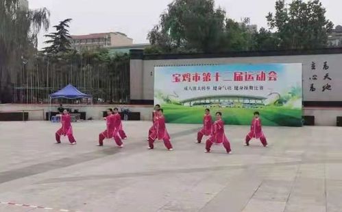 宝鸡市金台区足球队有哪些,宝鸡市东风路*中学学校发展