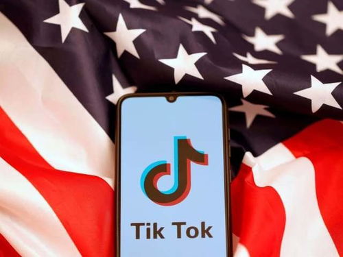 tiktok虚拟互动游戏_Tik Tok运营精细化思路